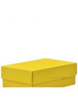Laatikon kansi, keltainen, 170x110x60mm M