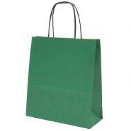 Green paper bag with twisted paper handles 19+8x21cm