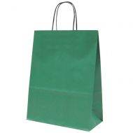 Green paper bag with twisted paper handles 24+11x31cm