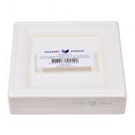 Square plate 100% biodegradable/compostable 20x20cm, 50pcs/pack