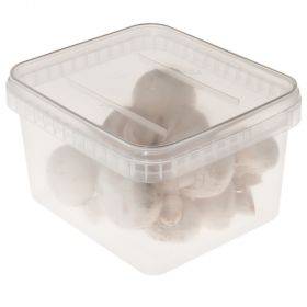 Transparent angular box without lid without handle 1500ml / 1,5L